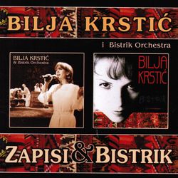 Zapisi+Bistrik